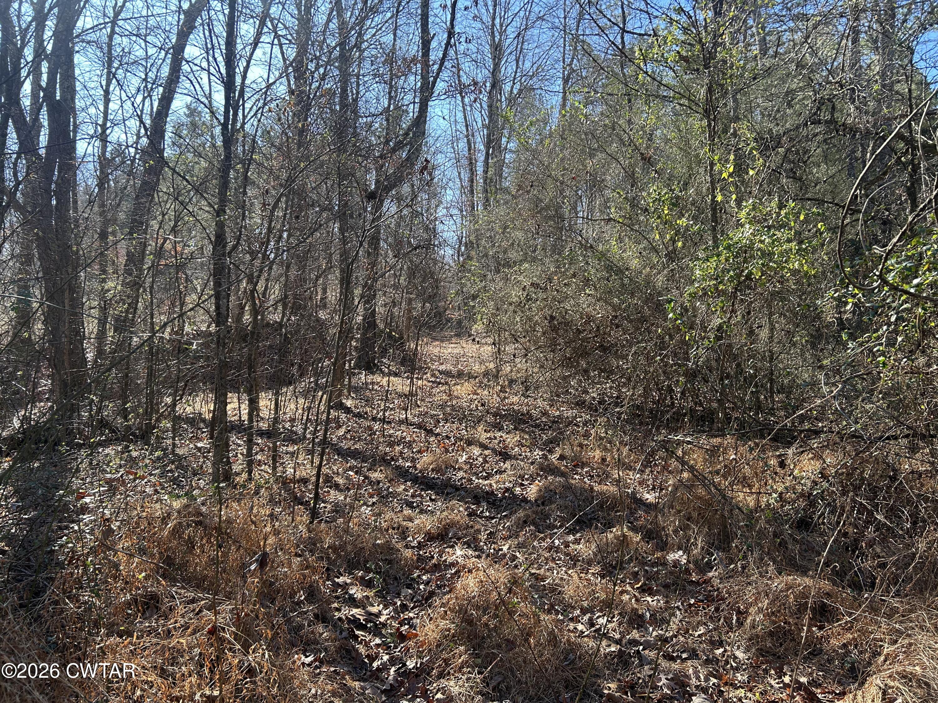 0 Blairs Chapel Road