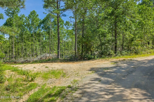 GREEN HATLEY BRANCH RD, HOLLADAY, TN 38341 - Image ce3a6171ecd6dff8f90ea491d7a2aaf9/1235690269