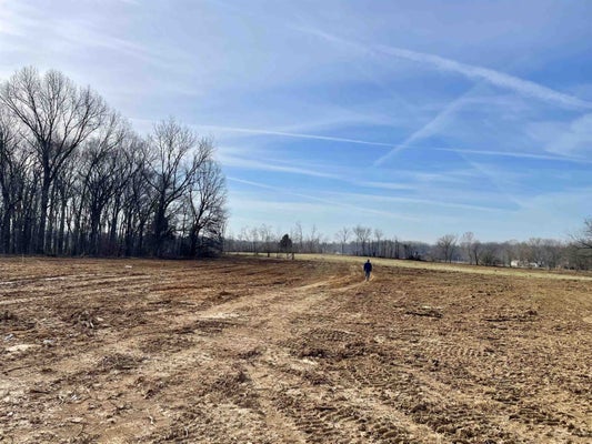 1150 W MAIN ST, ATWOOD, TN 38220 - Image d20b8120e5aaa43fae8d09aa4a5efc0f/1830170491