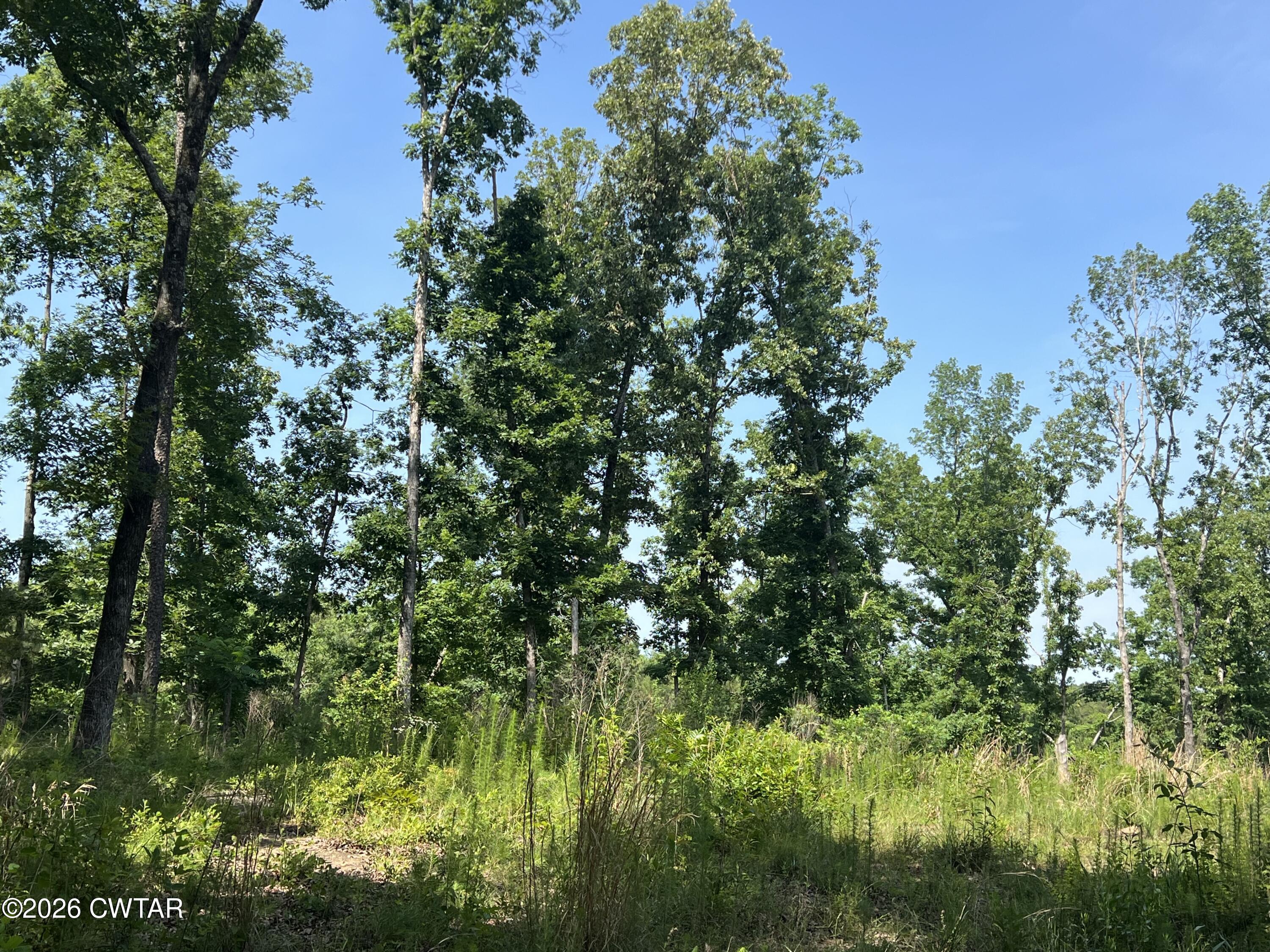 000 Cagle Trail