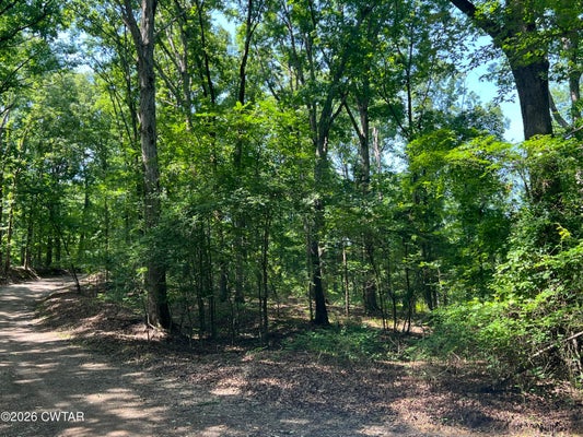 CAGLE TRL, HENDERSON, TN 38340 - Image d8aaea81efbddee76612ba6d191ee28e/3392648026