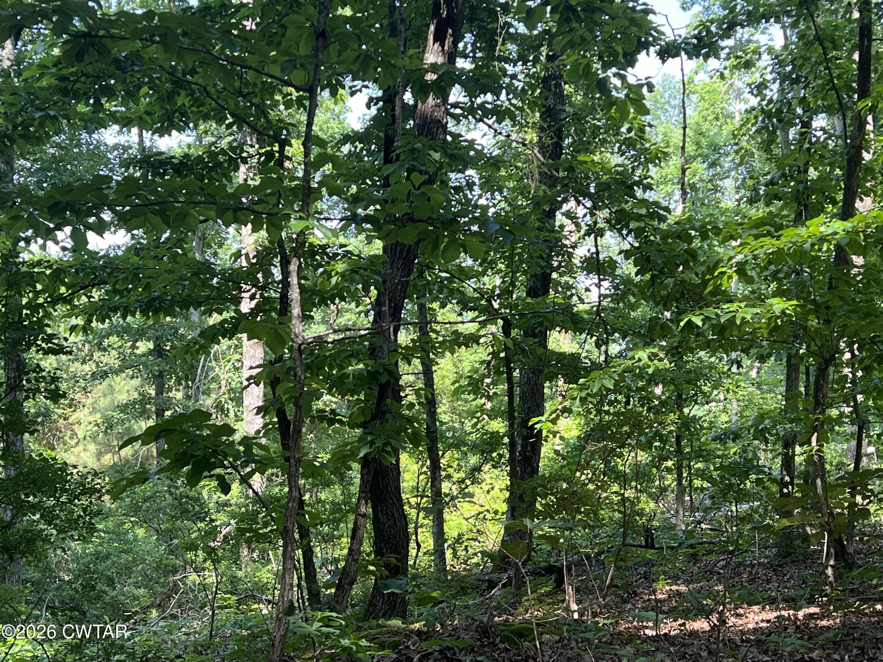 000 Cagle Trail