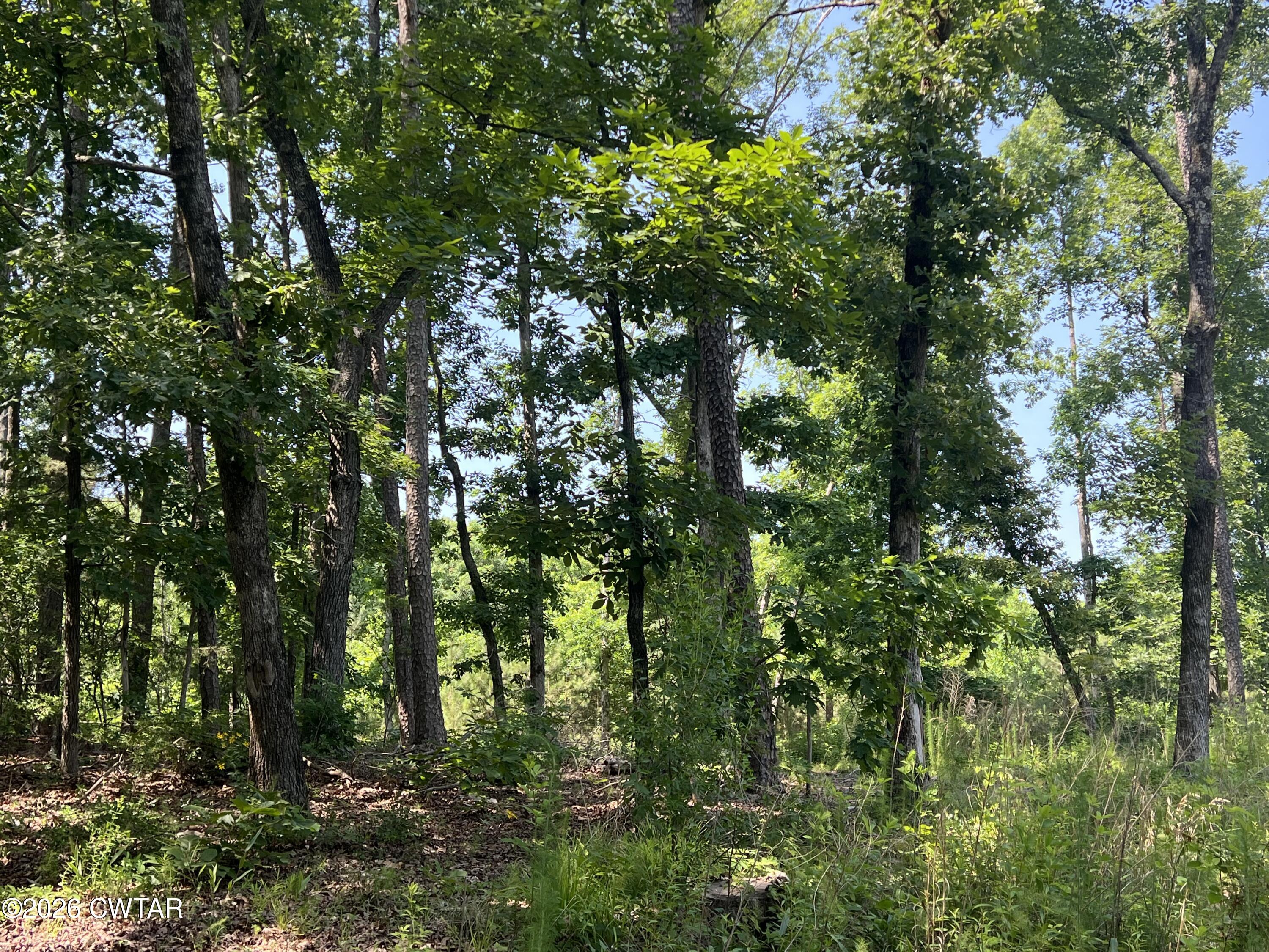 000 Cagle Trail