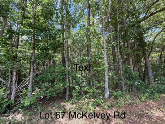 MCKELVY RD, CAMDEN, TN 38320 - Image d9ffddd19d3ebb83d72596593f7d75d9/3461918098