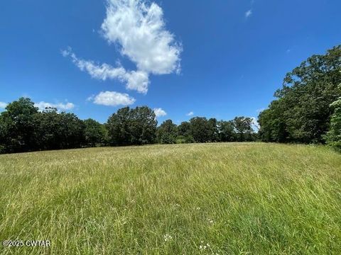 0 McBride Cemetery Road Sardis TN 38371