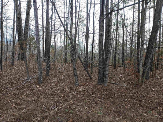 101 W MARKET ST, BOLIVAR, TN 38008 - Image f9abed4c6c7c2e3a3eeb93fbf9ea6c33/2551716285
