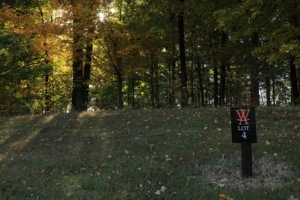 4 LINDEN ST, MC KENZIE, TN 38201 - Image fdfa08d87bf5e97ef048f7e8e717add2/686830344