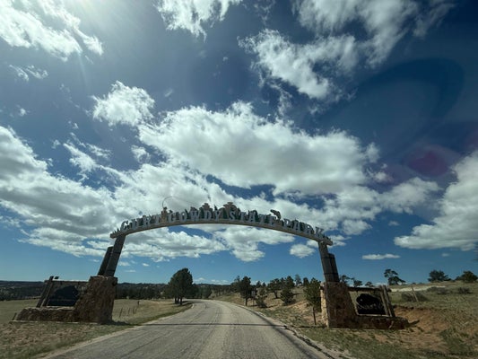 1191 GRANITE SPRINGS RD # 31, CHEYENNE, WY 82009 - Image 06751d13bab88cfaf60f5f5fb3b76f09/679102689
