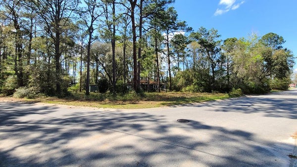 0 WHEELER ROAD, WALTHOURVILLE, GA 31333 - Image 341ee84fb4ddcf9b37c7e0cd856360ee/3483771451
