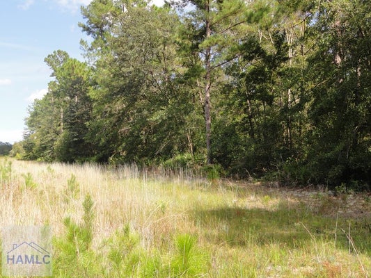 PARCEL 7 TIBET HIGHWAY, LUDOWICI, GA 31316 - Image 6bbb1955a5ec8b03dbfd38b78bc5fcf1/1723787749