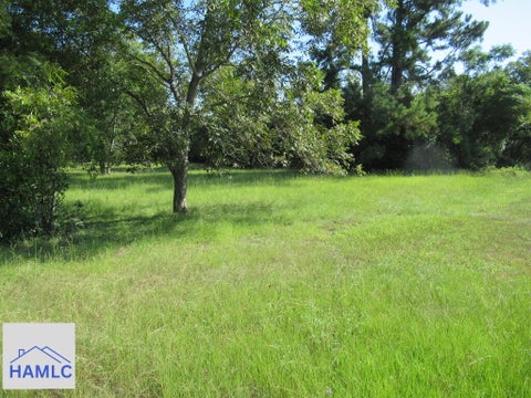 Photo for 0 Highway 280 West
