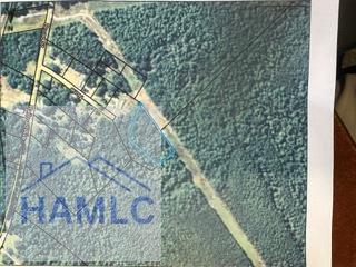 2 E RAILROAD AVE, ALAMO, GA 30411 - Image a99ec93b08857c3f98f2b136f9748c8a/3104424433