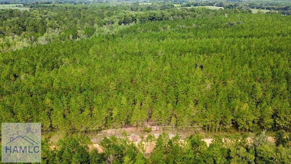 133 SUNFLOWER RD, FITZGERALD, GA 31750 - Image fc4bdc19c7663c52435c1ba559f54e2c/4169633176