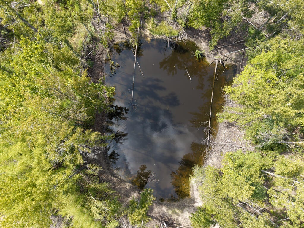 Photo of WATER VALLEY, MS 38965 (MLS # 168466)