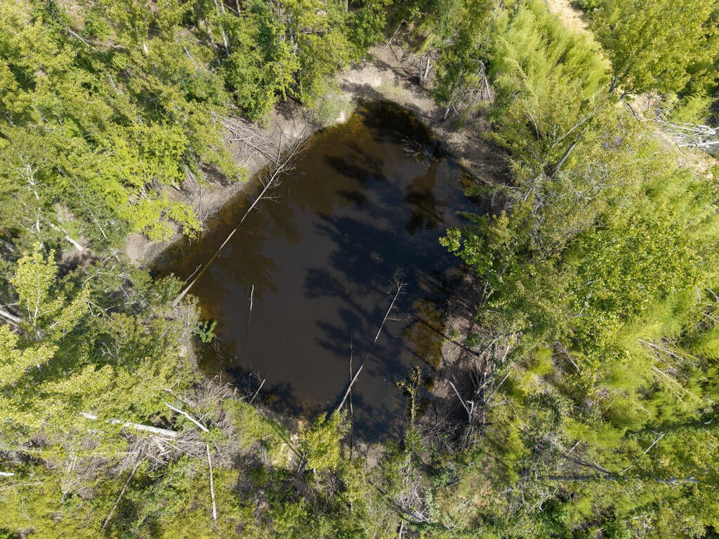 Photo of WATER VALLEY, MS 38965 (MLS # 168466)
