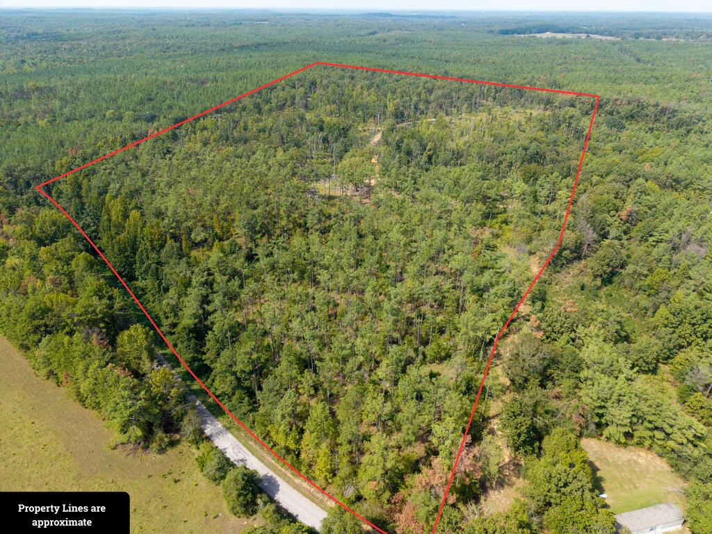 Photo of WATER VALLEY, MS 38965 (MLS # 168466)