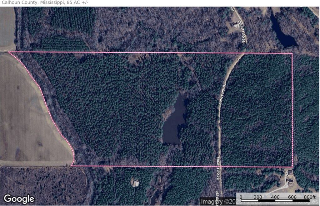 Photo of 85 ac County Road 291, WATER VALLEY, MS 38965 (MLS # 162160)