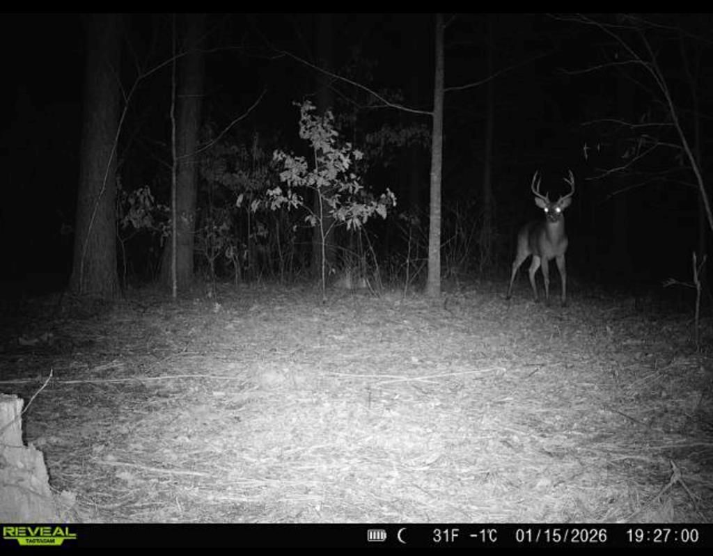 Photo of 85 ac County Road 291, WATER VALLEY, MS 38965 (MLS # 162160)