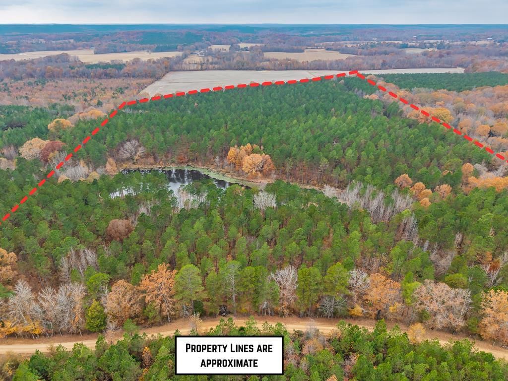 Photo of 85 ac County Road 291, WATER VALLEY, MS 38965 (MLS # 162160)