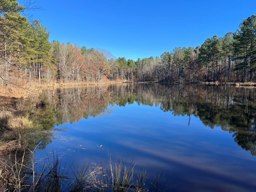 Photo of 85 ac County Road 291, WATER VALLEY, MS 38965 (MLS # 162160)