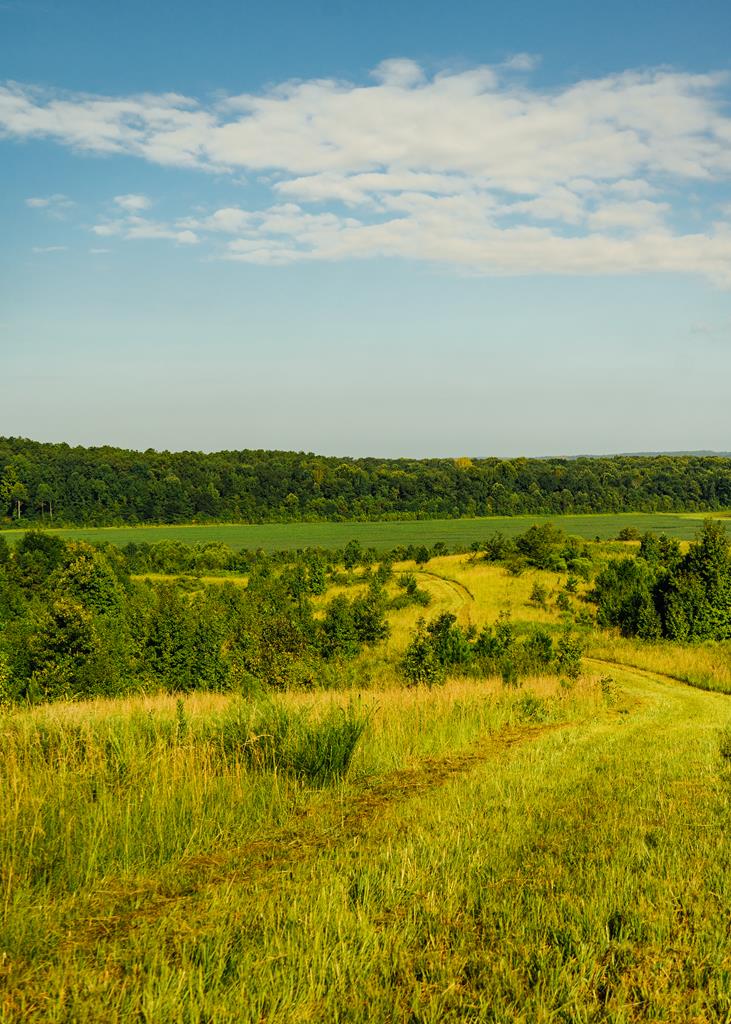 Photo of BIG CREEK, MS 38914 (MLS # 168158)