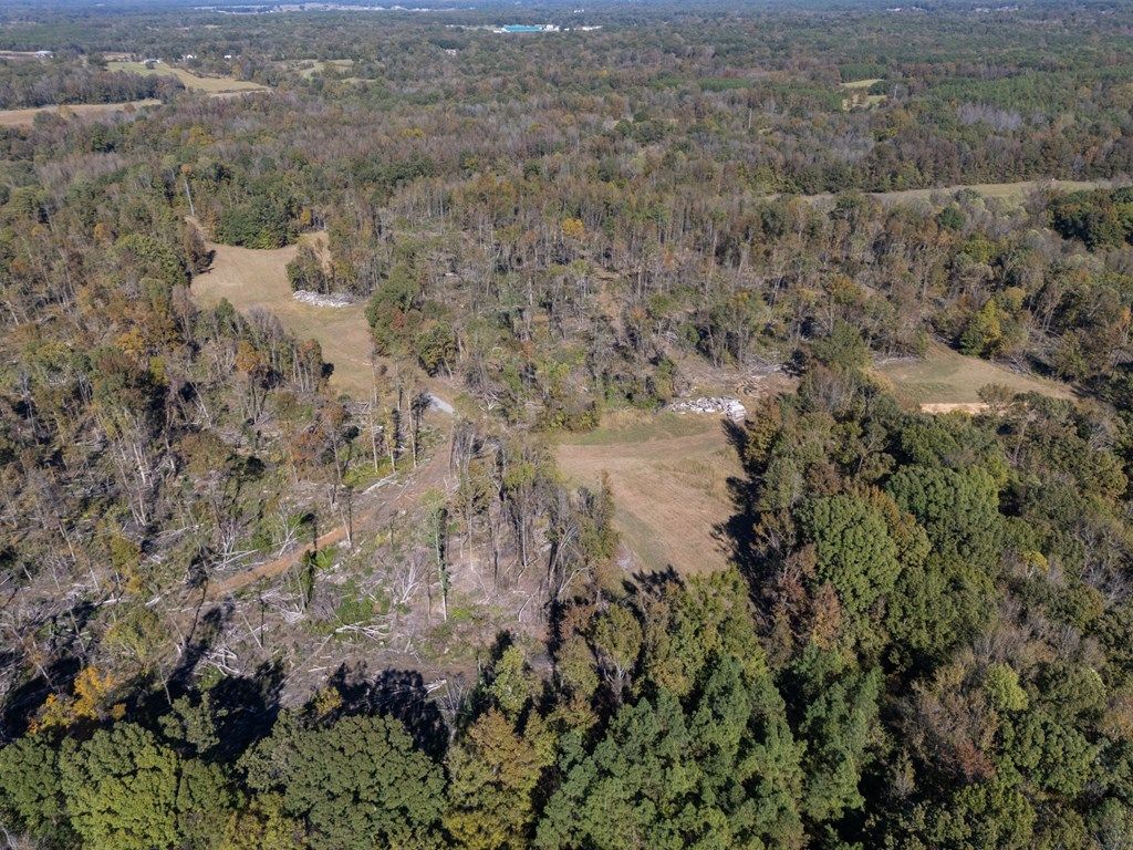 Photo of TBD Whitten Road, COURTLAND, MS 38620 (MLS # 162040)