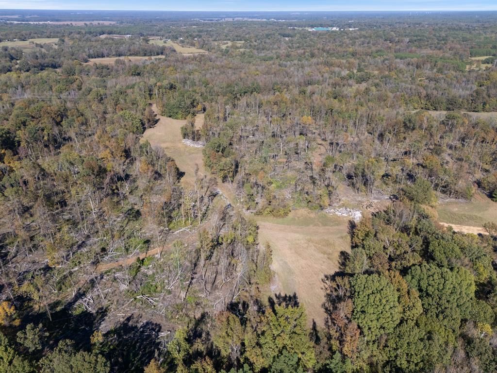 Photo of TBD Whitten Road, COURTLAND, MS 38620 (MLS # 162040)