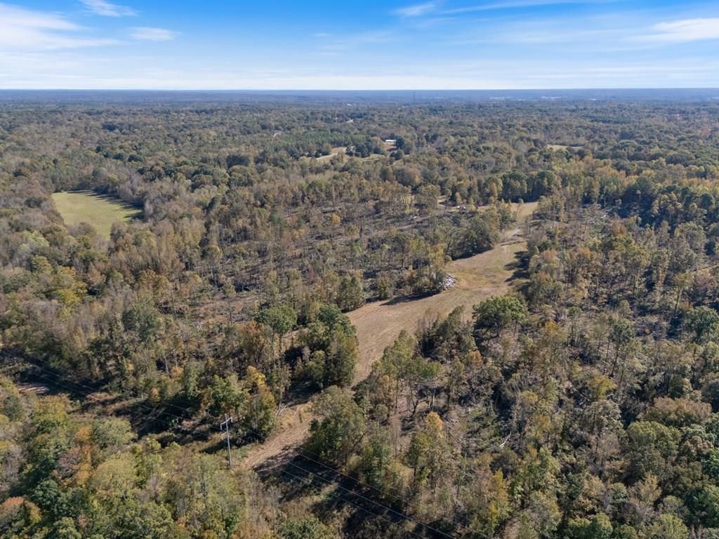Photo of TBD Whitten Road, COURTLAND, MS 38620 (MLS # 162040)