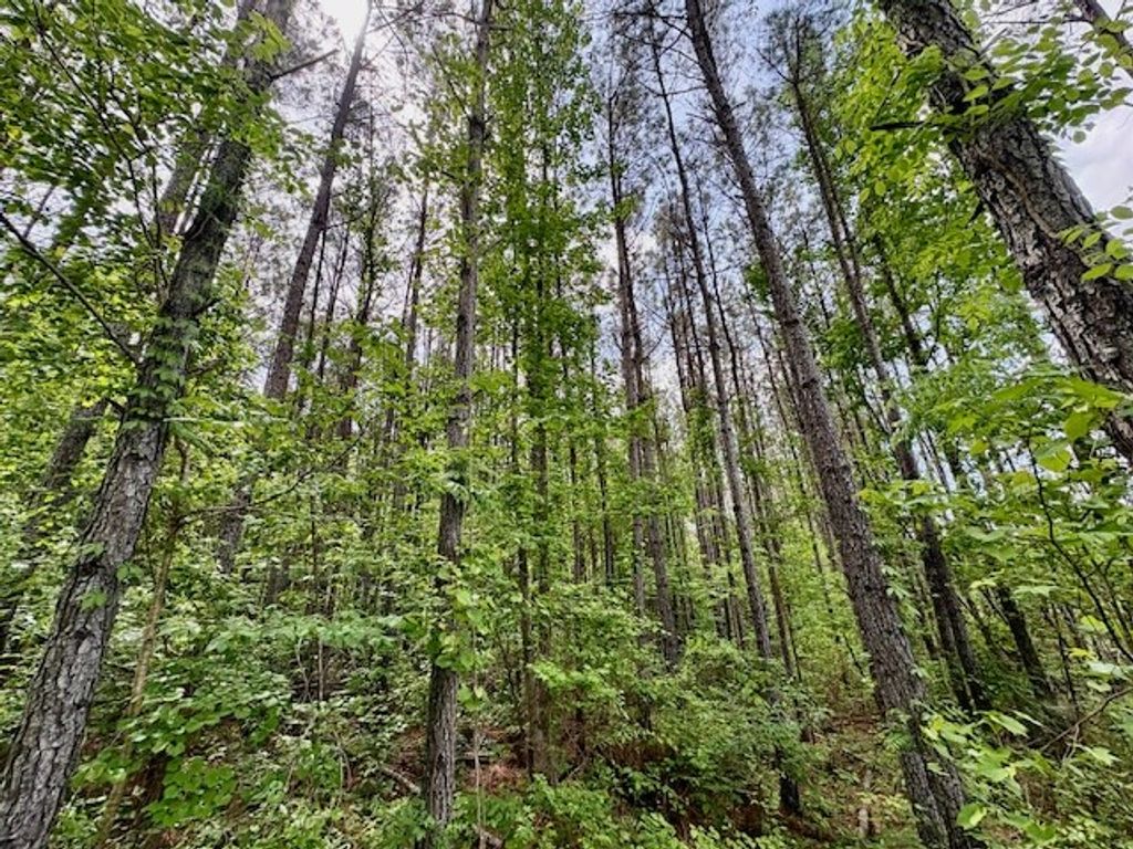 Photo of 112 County Road 427, VARDAMAN, MS 38878 (MLS # 167191)