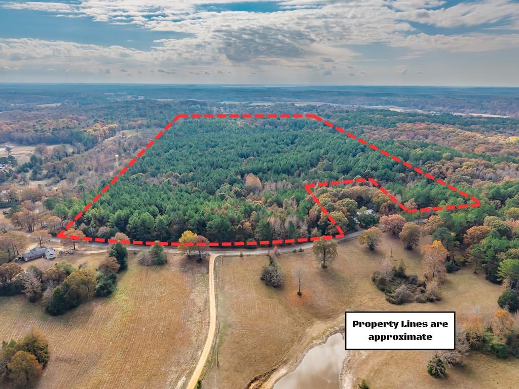 Photo of 66.14 ac County Road 227, WATER VALLEY, MS 38965 (MLS # 162150)