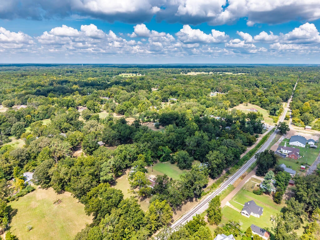 Photo of COURTLAND, MS 38620 (MLS # 168434)