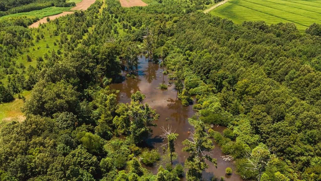 Photo of 00 Cotton Loop, OTHER, MS 38670 (MLS # 161251)