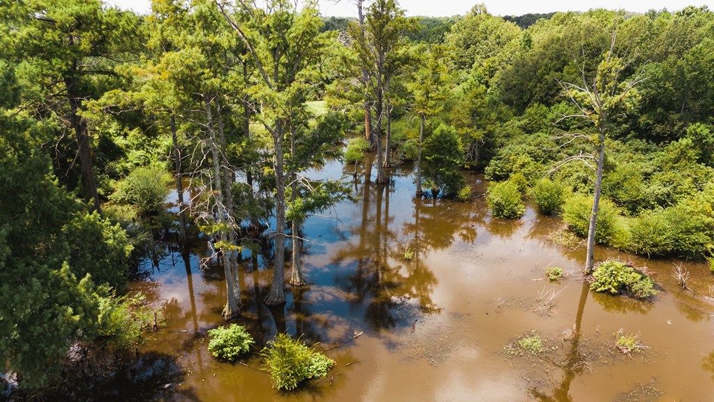 Photo of 00 Cotton Loop, OTHER, MS 38670 (MLS # 161251)