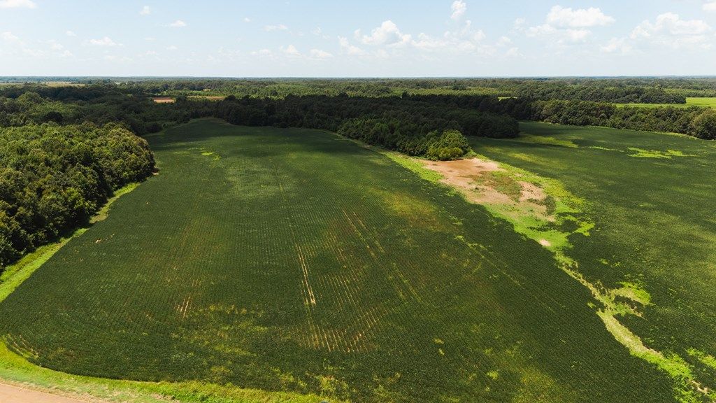 Photo of 00 Cotton Loop, OTHER, MS 38670 (MLS # 161251)