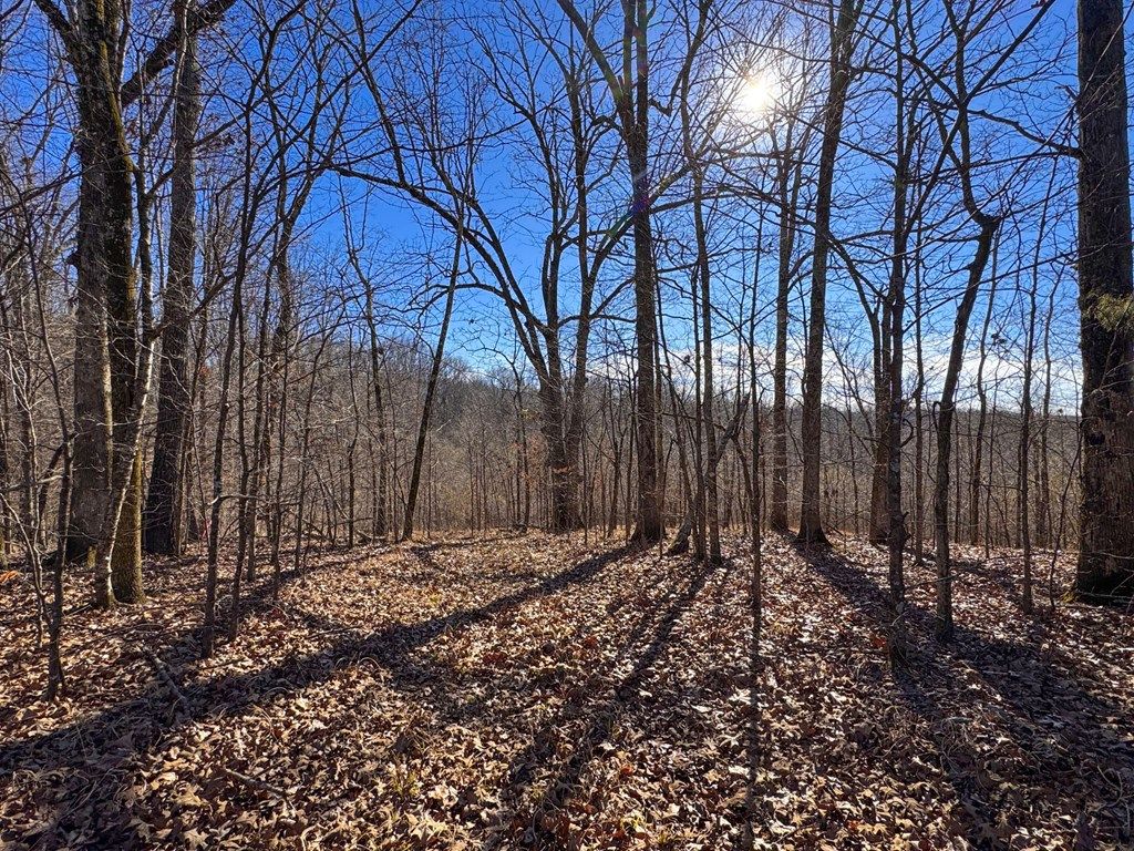 Photo of 1600 Chapel Town Road, COURTLAND, MS 38620 (MLS # 164383)