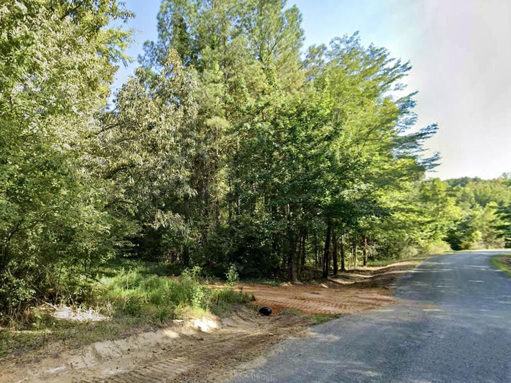 Photo of 1600 Chapel Town Road, COURTLAND, MS 38620 (MLS # 164383)