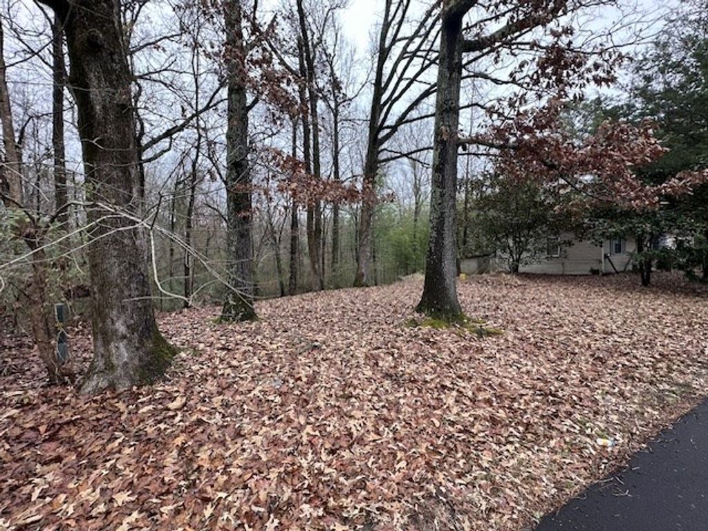 Photo of 988 Rd 821, Saltillo, MS 38866 (MLS # 162217)