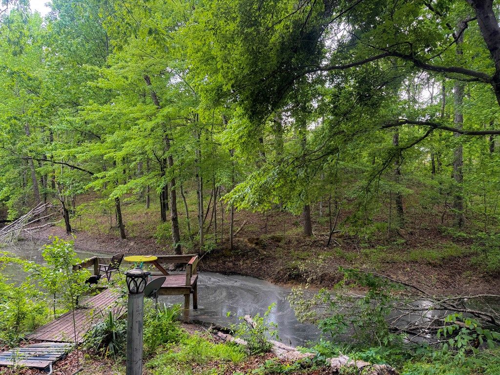Photo of 48 Sleepy Creek Ln, POPE, MS 38658 (MLS # 167259)