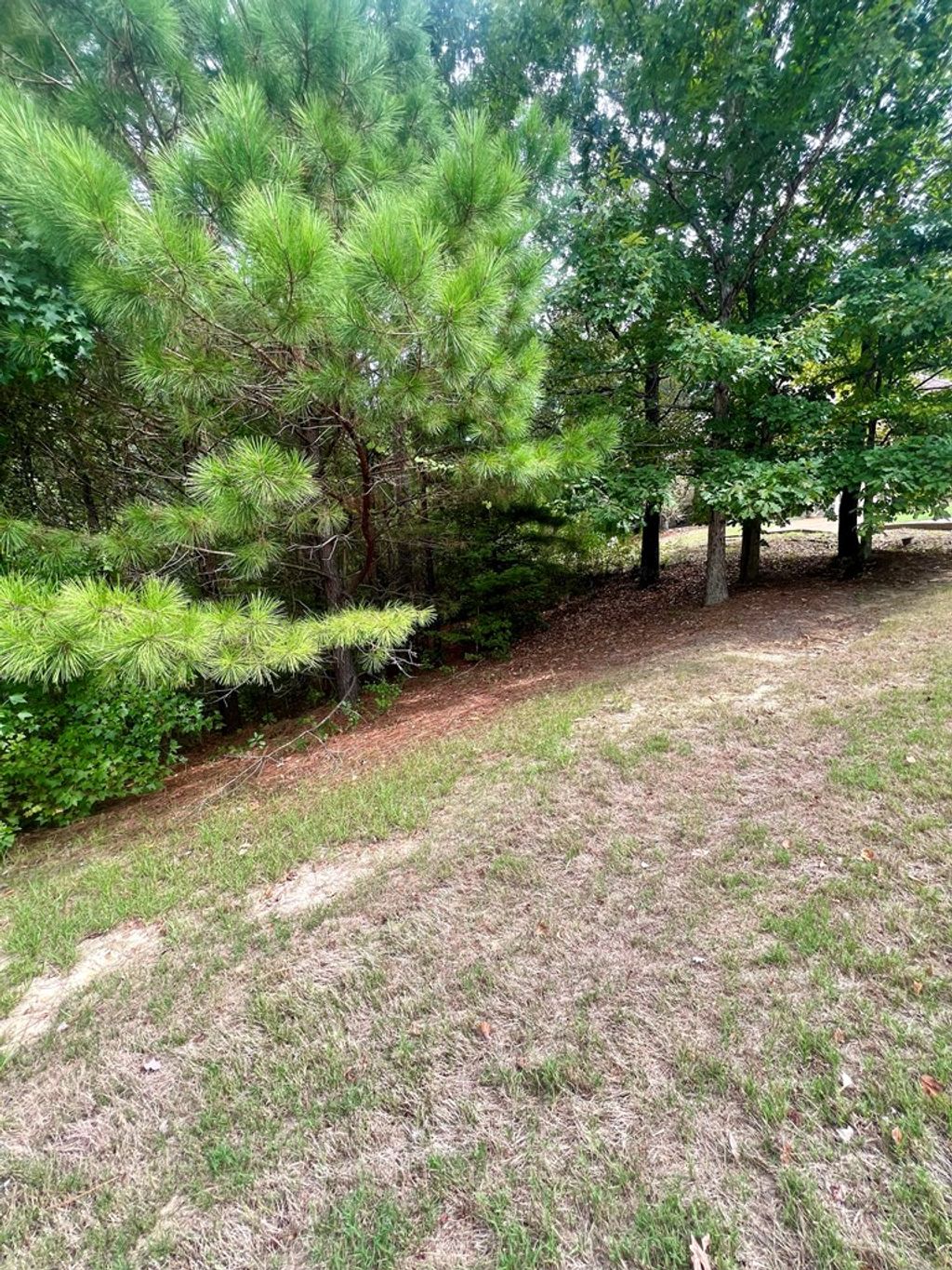 Photo of Lot 8 Tuscan Hills Dr, OXFORD, MS 38655 (MLS # 167642)