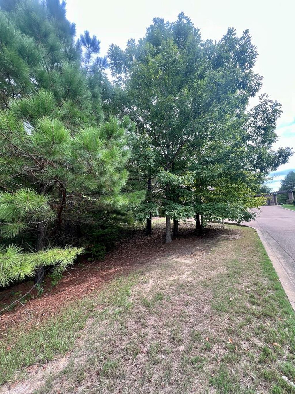 Photo of Lot 8 Tuscan Hills Dr, OXFORD, MS 38655 (MLS # 167642)