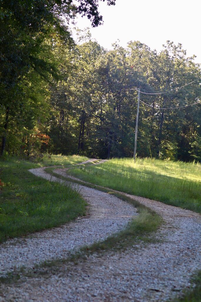 Photo of ASHLAND, MS 38603 (MLS # 168651)