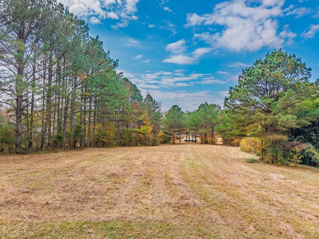 Photo of TBD Cr 111, OXFORD, MS 38655 (MLS # 162127)