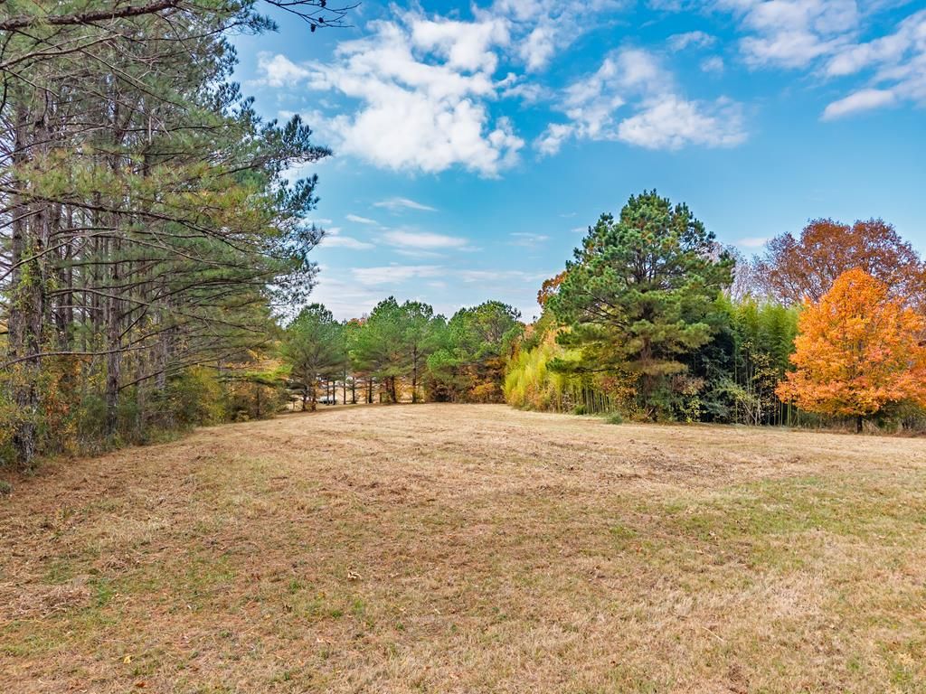 Photo of TBD Cr 111, OXFORD, MS 38655 (MLS # 162127)