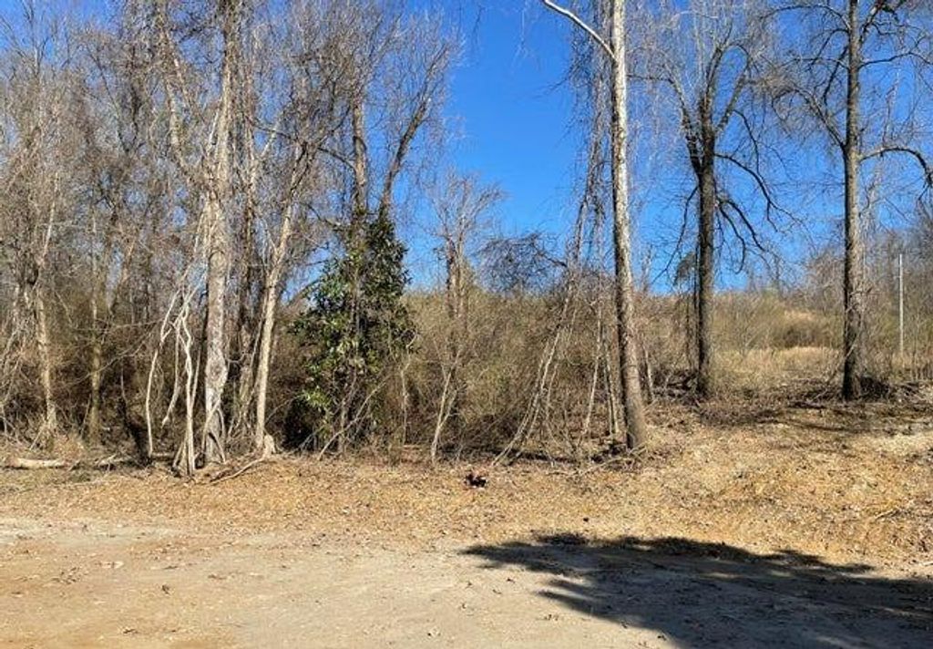 Photo of 15944 Brownsferry Road, OTHER, MS 38665 (MLS # 166810)