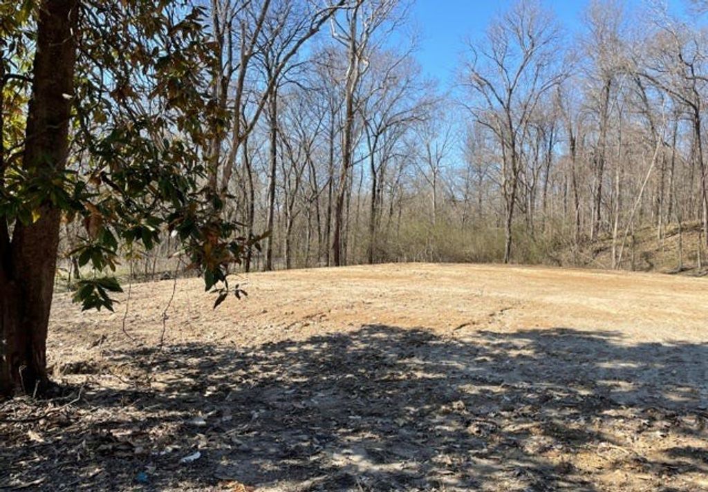 Photo of 15944 Brownsferry Road, OTHER, MS 38665 (MLS # 166810)