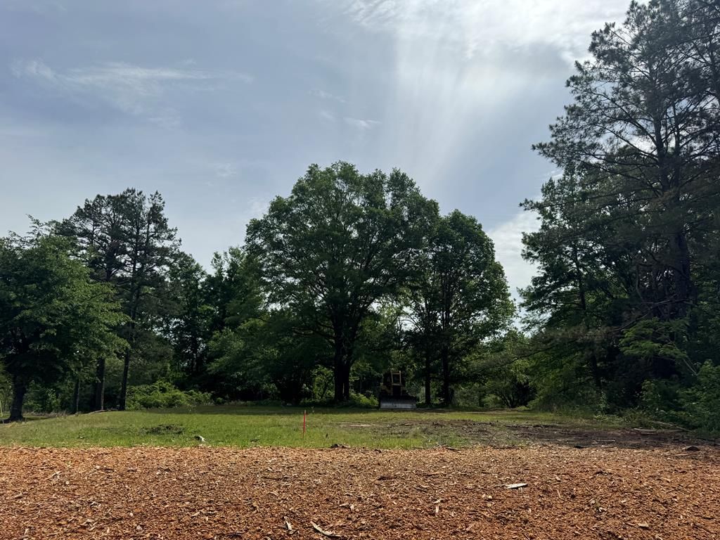 Photo of 00 Hwy 9, BANNER, MS 38913 (MLS # 167344)