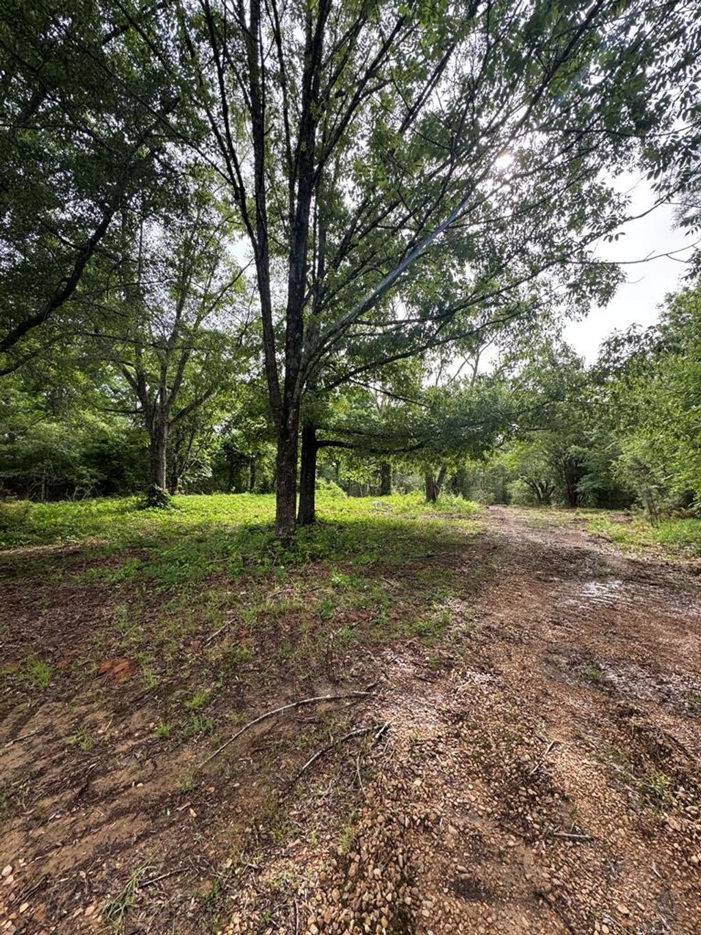 Photo of 00 Hwy 9, BANNER, MS 38913 (MLS # 167344)