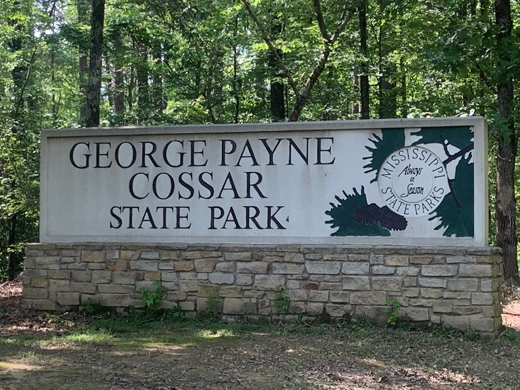 Photo of Lot 22 Cr 179, OAKLAND, MS 38948 (MLS # 162324)