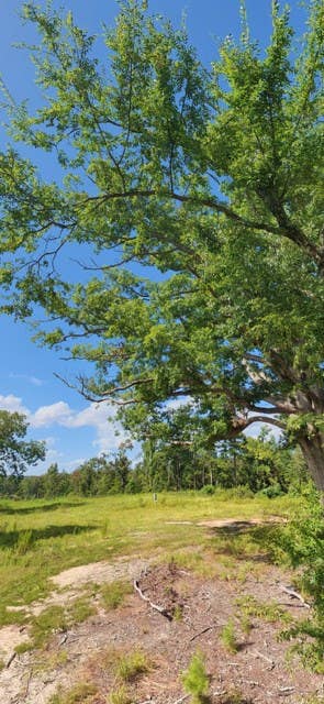 Photo of OXFORD, MS 38655 (MLS # 168105)