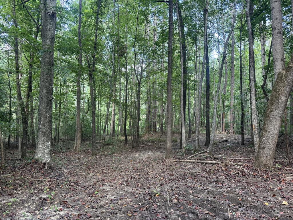 Photo of OTHER, MS 38833 (MLS # 168270)